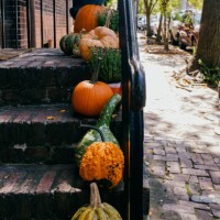 decorative gourds adorn brick steps - garden decoration stock pictures, royalty-free photos & images