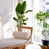 decorative home - garden decoration stock pictures, royalty-free photos & images