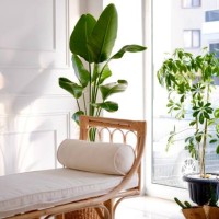 decorative home - home decoration stock pictures, royalty-free photos & images