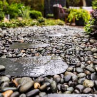 decorative sprinkling of flowerbed paths with pebbles - garden decoration stock pictures, royalty-free photos & images