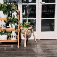 decorative wooden ladder with indoor plants and flowers in pots. entrance to eco cafe. summer sunny day. - garden decoration stockfoto's en -beelden