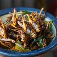 deep fried locust - food stock pictures, royalty-free photos & images