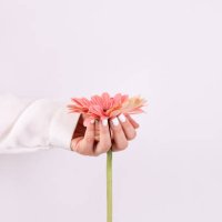delicate french manicure with a rose in hand - nails art stock pictures, royalty-free photos & images
