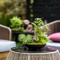 designed space for relax in modern garden - garden decoration stock pictures, royalty-free photos & images