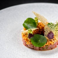 designer dish of yellow fin tuna - food stock pictures, royalty-free photos & images