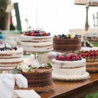 dessert table of mixed chocolate cake and berry cakes at a smaller wedding celebration in a backyard in sumer july - garden decoration stock pictures, royalty-free photos & images
