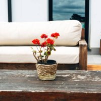 detail of an outdoor terrace of a private garden, table and wooden sofa - garden decoration stock pictures, royalty-free photos & images