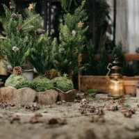 detail of little christmas trees and floor in a greenhouse - garden decoration stock pictures, royalty-free photos & images