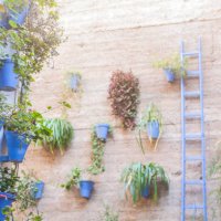 detail of pots and flowers in a cordoban patio. - garden decoration stock pictures, royalty-free photos & images