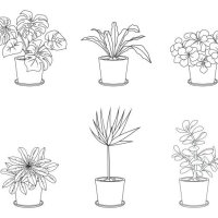 different houseplants in flower pots on white background - garden decoration stock illustrations