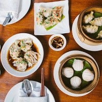 dim sum - food photos et images de collection