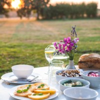 dinner at sunset, loire valley - garden decoration photos et images de collection