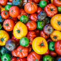 directly above view of multicolored tomatoes on the market stall at farmer's market - food stock pictures, royalty-free photos & images