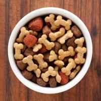 dog food - food stock pictures, royalty-free photos & images