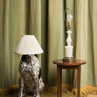 dog with a lampshade on its head - home decoration stock pictures, royalty-free photos & images