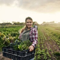don’t forget to support your local organic farmer - food stock pictures, royalty-free photos & images