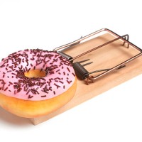 doughnut in mouse trap - junk food stock pictures, royalty-free photos & images