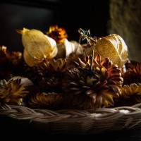 dried flowers - garden decoration stock pictures, royalty-free photos & images