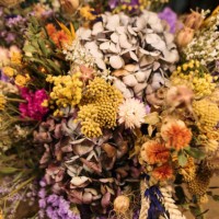 dried flowers bouquet - home decoration stock pictures, royalty-free photos & images