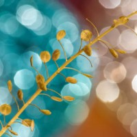 dried up.. - garden decoration stock pictures, royalty-free photos & images