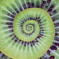 droste kiwi - food stock pictures, royalty-free photos & images