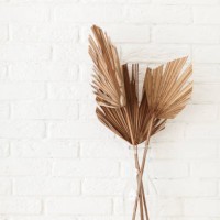 dry gold palm leaf in a glass vase standing on wood shelf. stylish trendy dry flower arrangement on white background. - home decoration stock pictures, royalty-free photos & images