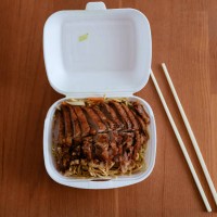 duck with noodles, asian food in a catering box from food delivery service. the new normal in covid 19 pandemic times - junk food stock pictures, royalty-free photos & images