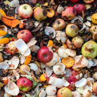 dump of organic garbages with remains of fruits and bread in decomposition. - food stock pictures, royalty-free photos & images