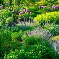 early summer flower garden - iii - garden decoration stock pictures, royalty-free photos & images