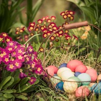 easter basket in garden - garden decoration stock pictures, royalty-free photos & images