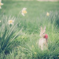 easter bunny in garden - garden decoration stock pictures, royalty-free photos & images