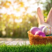 easter day, wooden table on a background with eggs rabbit in the lawn on a sunny day - home decoration stock pictures, royalty-free photos & images