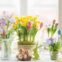 easter decoration with seasonal colorful potted flowers, easter eggs and bunny on table at window with natural light - home decoration stock pictures, royalty-free photos & images
