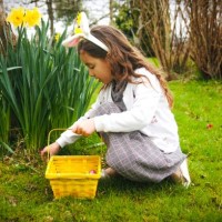 easter egg hunt - garden decoration stock pictures, royalty-free photos & images