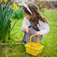 easter egg hunt with surprise - garden decoration stock pictures, royalty-free photos & images