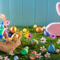 easter eggs basket on turf grass and blue wooden wall with spring flowers - garden decoration stock pictures, royalty-free photos & images
