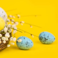 easter eggs in a nest on yellow background - home decoration stock pictures, royalty-free photos & images