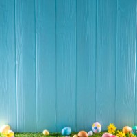 easter eggs on turf grass and blue wooden wall with spring flowers - garden decoration stock pictures, royalty-free photos & images