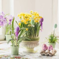 easter still life with eggs, rabbit decoration and various springtime flowers in pots and vases - garden decoration stock pictures, royalty-free photos & images
