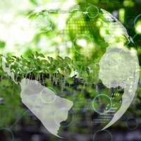 ecology concept . - food stockfoto's en -beelden