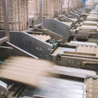 egg factory on selecting process and grading production line with fresh eggs - food stock pictures, royalty-free photos & images