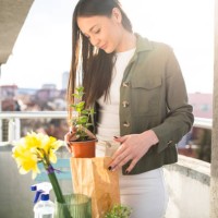 ein hauch von frühling auf ihrem balkon - garden decoration stock-fotos und bilder