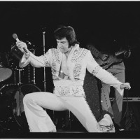 Elvis Presley Kneeling During Performance