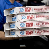Employee moves pizza boxes before a delivery at a Domino's Pizza Inc. Restaurant in Chantilly, Virginia, U.S., on Tuesday, Feb. 20, 2018. Domino's...