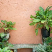 empty bench against art cement wall in garden - garden decoration stock pictures, royalty-free photos & images