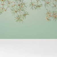 empty duotone teal green and white 3d stage studio background with pine tree branches, front view, copy space. - garden decoration stock pictures, royalty-free photos & images