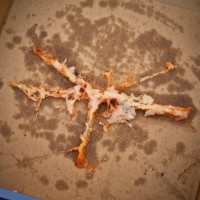 empty pizza box - junk food stock pictures, royalty-free photos & images