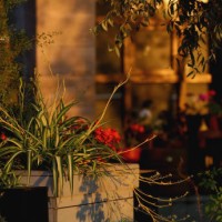 empty sidewalk cafe with flowers and garden on golden hours - garden decoration stock pictures, royalty-free photos & images