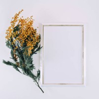 empty white wooden frame and yellow mimosa flowers on white top view background with copy space. flatlay mockup - home decoration stock pictures, royalty-free photos & images