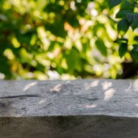 empty wood board and defocused bokeh and blur green background of garden trees with sunlight. concept of product display template. - garden decoration stock pictures, royalty-free photos & images